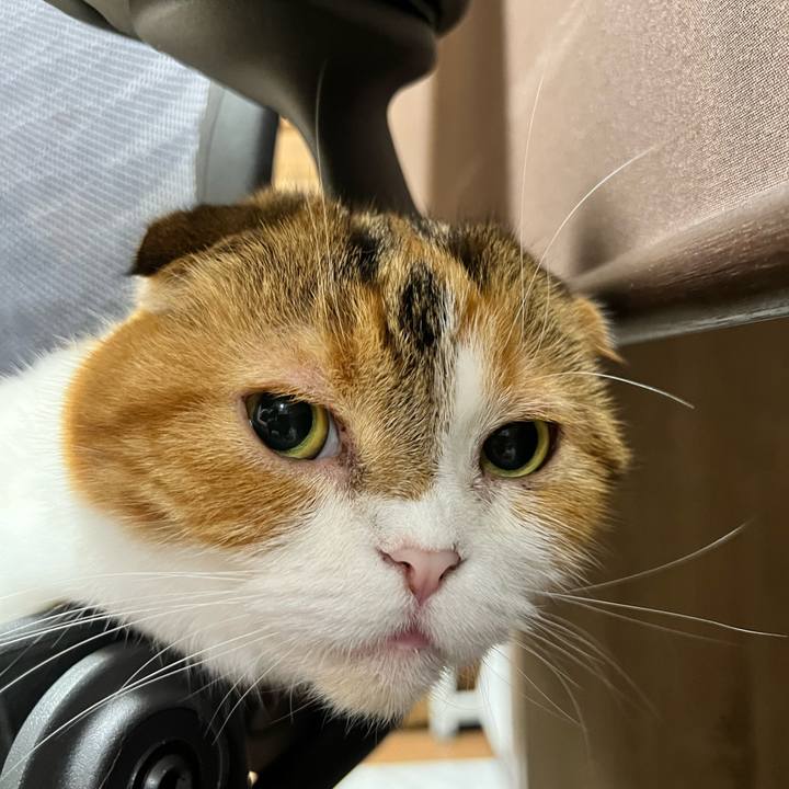 0061738f 672a 493e b35f 0e4167272a47 1718964438764