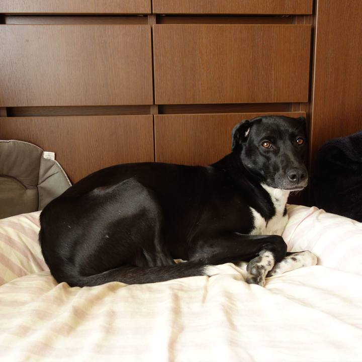 0061796b 8c77 4d62 ba2b 9ef41dee9616 1581988223300