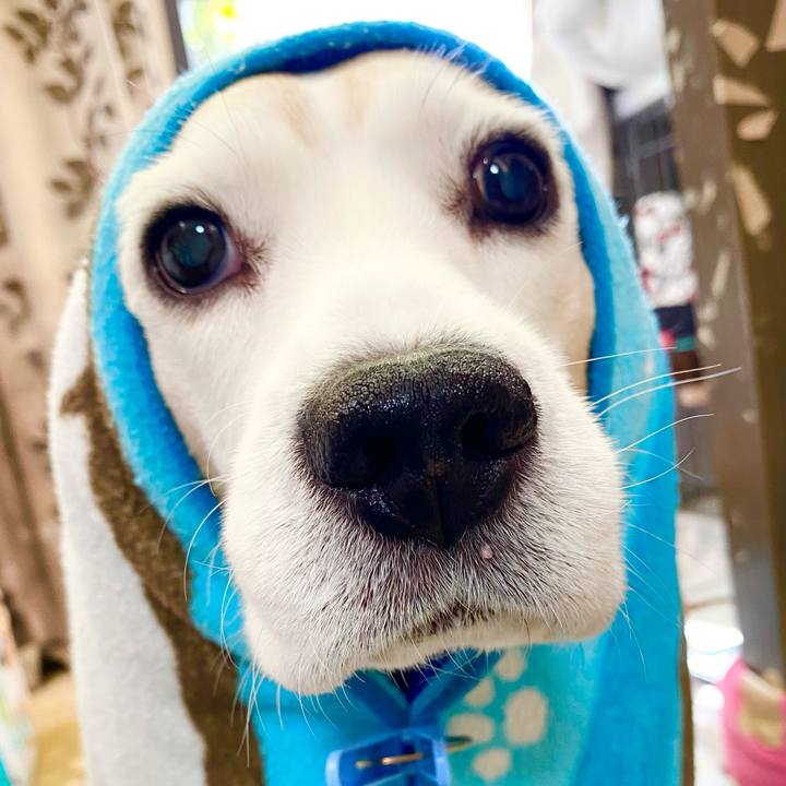 006200a0 bd30 48f6 9f16 6bde97142529 1642142181897