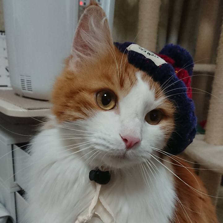 00621253 7662 48af 9636 10dd764981ea 1547347822317