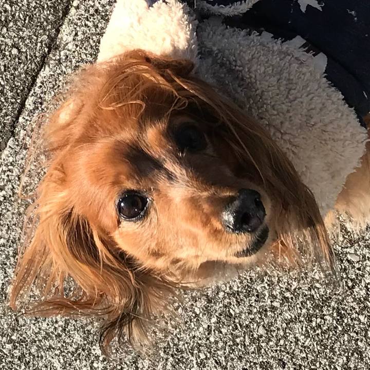 00621f1d c364 4603 a0fe 732e34bd373a 1518935931029