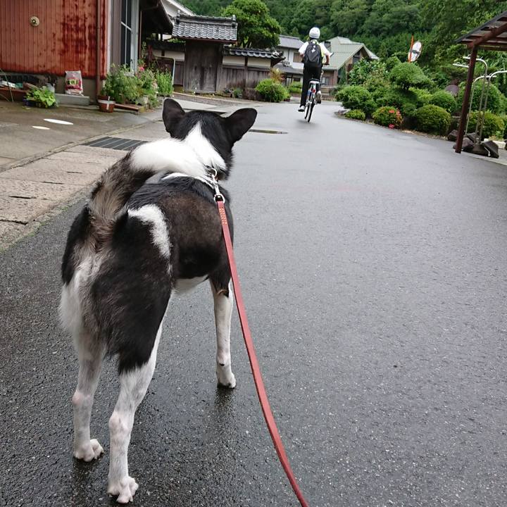 00626666 1a68 4570 aca2 ae9fa9b816eb 1529451210064