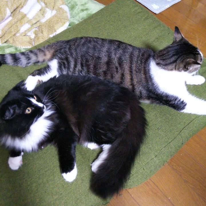 0062bd44 c804 45ff ad7e a9f4e98c5048 1650162850171