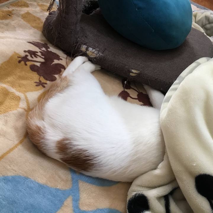 0062ea1a 31fa 4366 be50 9ab1c2e9c2e4 1516773417855