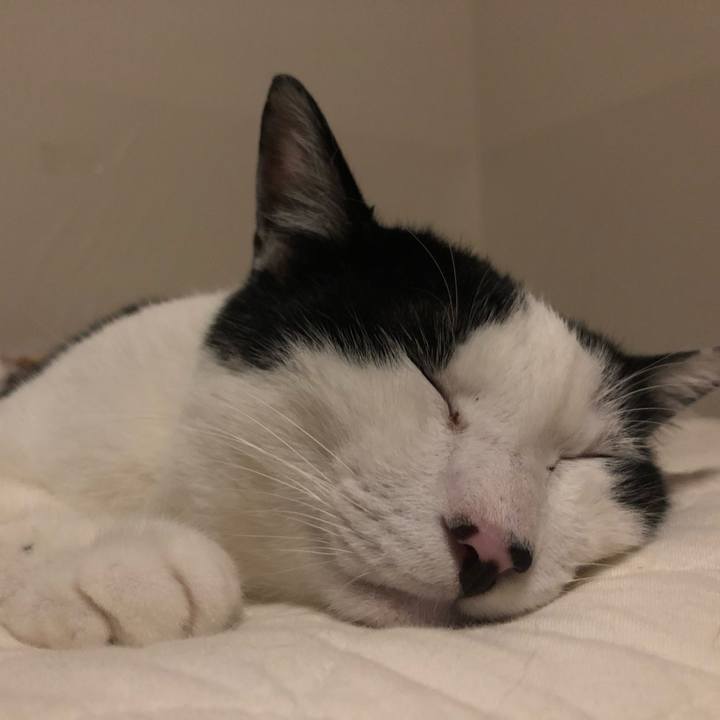 006328a1 80e1 4888 82a9 58b0cefaf88c 1560011075410