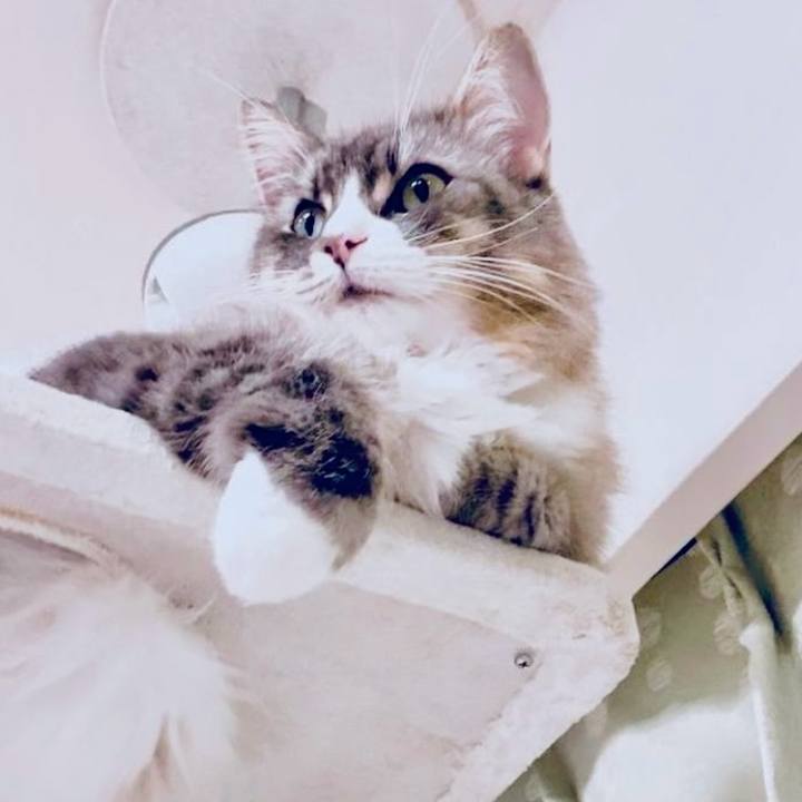 00633159 3ae8 4372 b1bb caa42c68e103 1750867663398