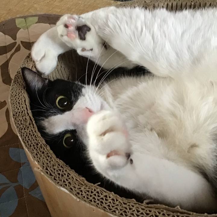 00634e03 b034 4321 b9b8 60724e6ddcc5 1745390673087