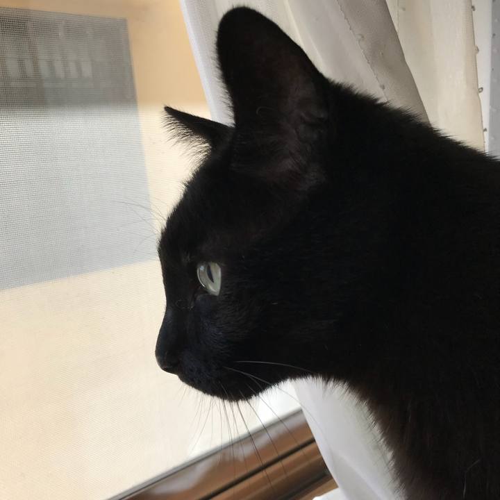 006354ee 5efc 44a1 b3b9 f53f11323bda 1526950761420