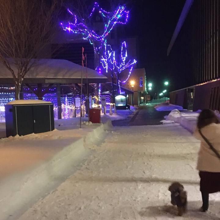 00635b94 2000 4d28 b1e7 ca369702ce4d 1643790817939