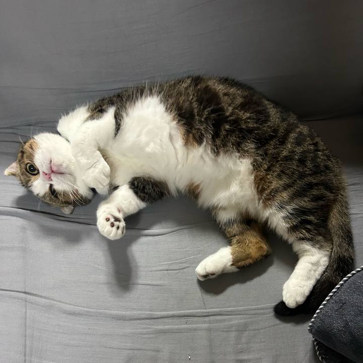 00636a83 cd4b 4d51 8555 37a283ed7139 1759188416076