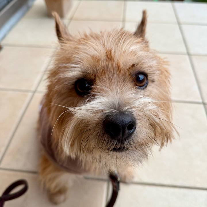 0063ad33 162c 4510 b4a1 5fb3a36fb835 1766299408155