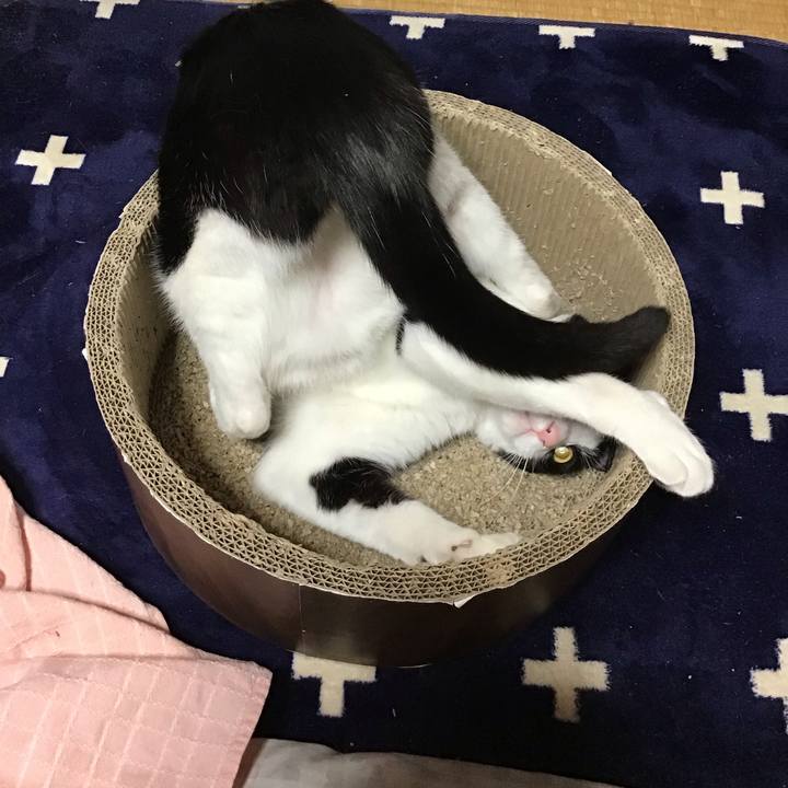 0063b902 8736 4303 b318 43748456db3a 1715068651342