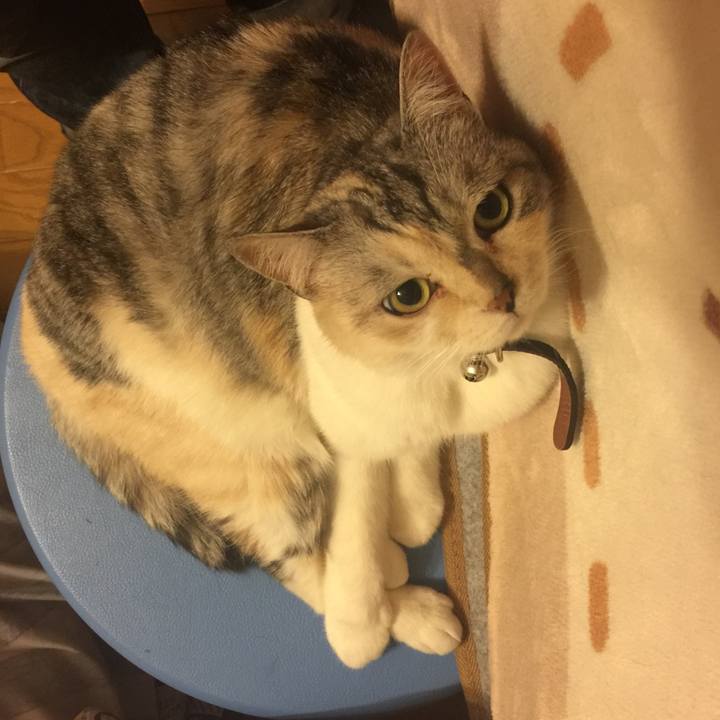 0063db37 57b3 4aaf 8ec3 8545aa7ad0f8 1561301786039