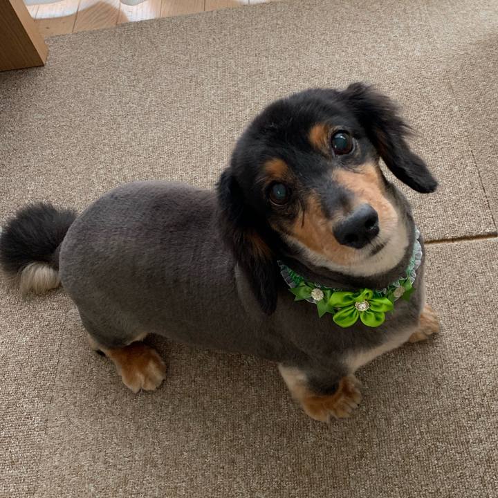 0063db5f 16cf 4ee5 84c0 57e66088e808 1561172365680