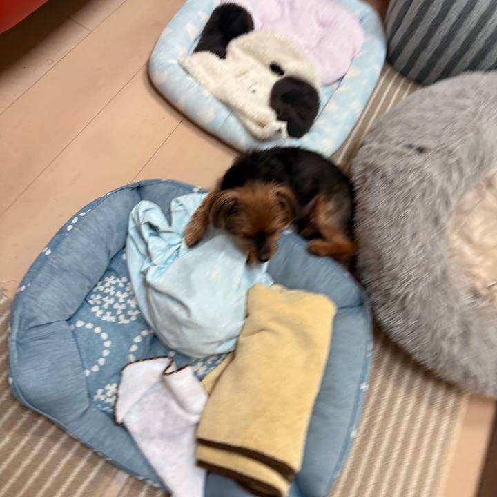 0063f525 4925 496e 9df3 aa0fd24b1882 1754375091895