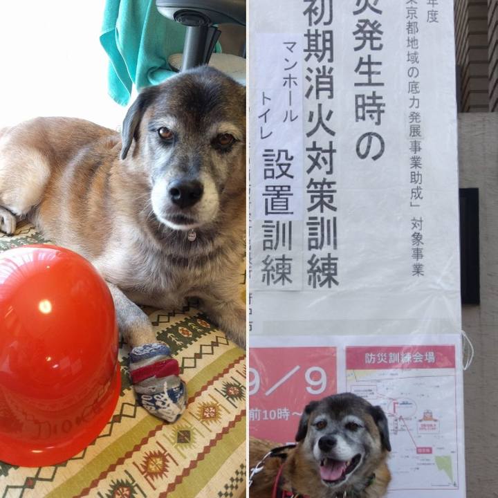 00640d8e 9165 484b 8140 b755c5a36639 1536464078527