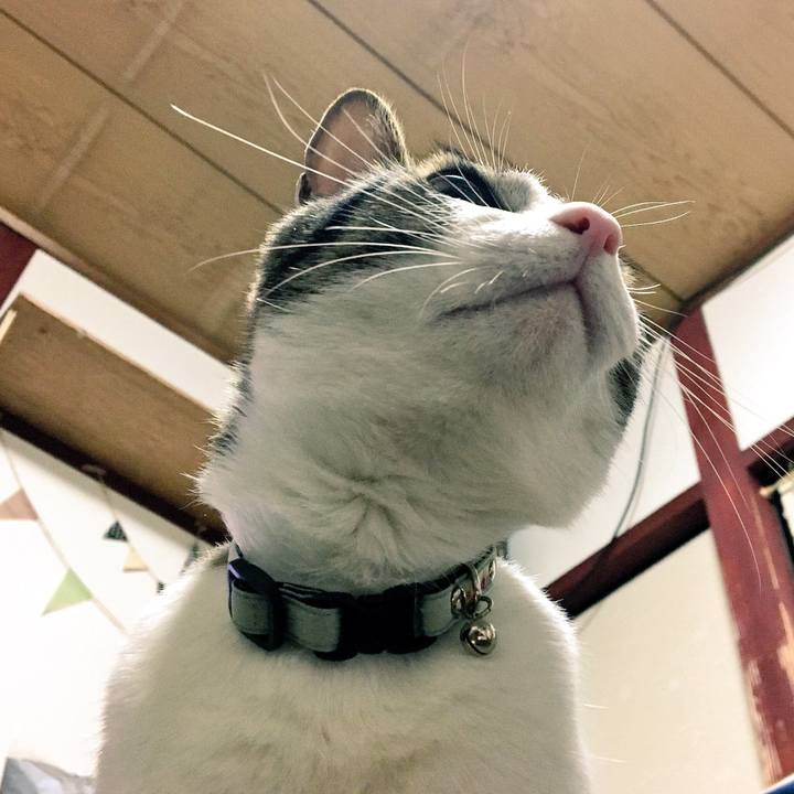 00642e2a 3a92 491b a50b 0edfc7805543 1523539747370