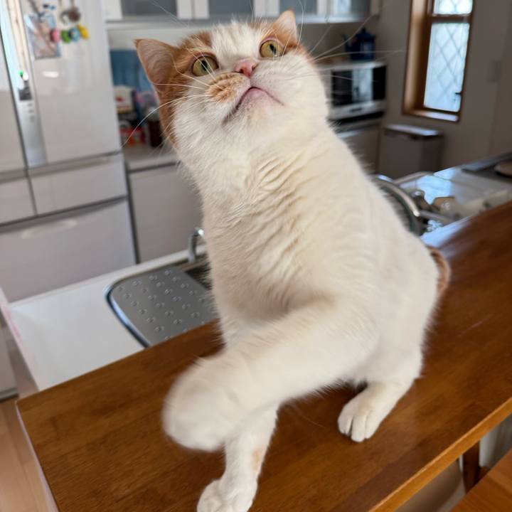 006469a6 5854 41a5 a045 6230363f7cea 1770346069199