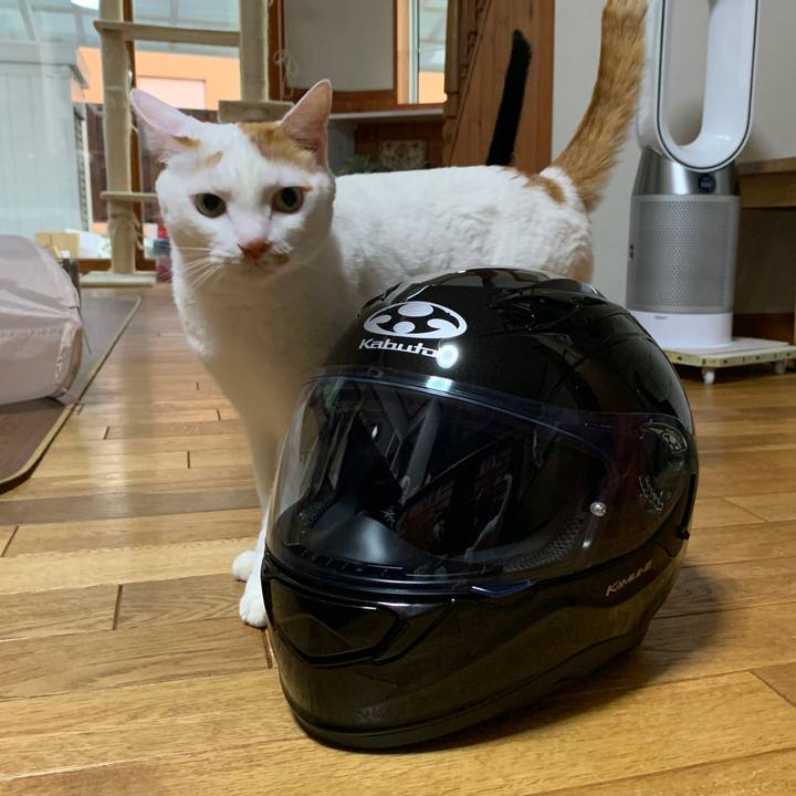 0064ad2f b096 48ff 95f9 956071891b57 1656763217047