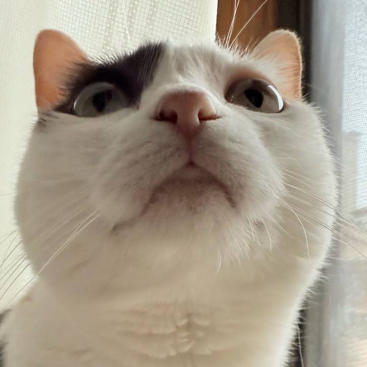 0064ba21 d2d2 4626 b587 6bb2afab0834 1747704216782