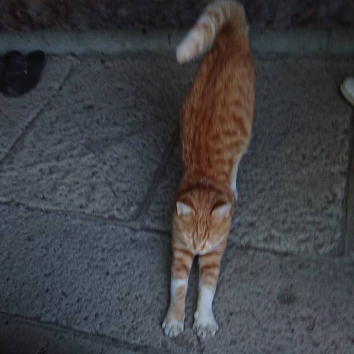 0064c9ba ebef 415f 95df 74b368e4bf9a 1565690266351