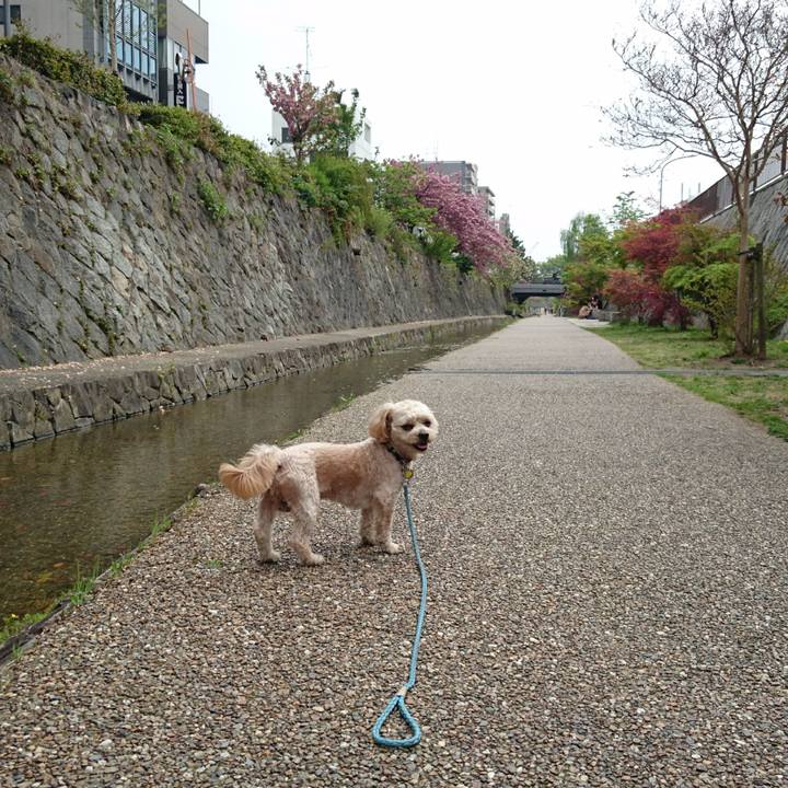 0064ce1b 5485 4afd 80c2 b1331362b47d 1555821661718