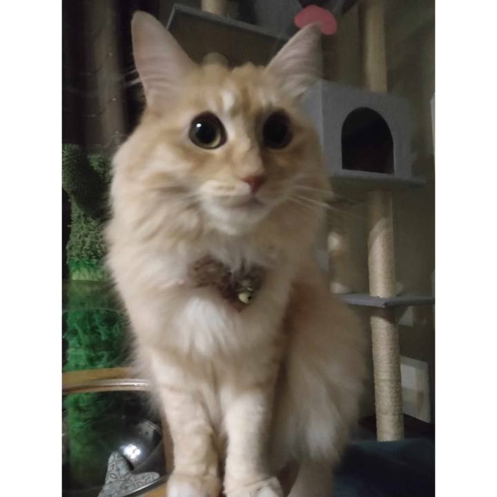 006554a7 774d 4235 8285 21d9e9fee5dd 1691582593485