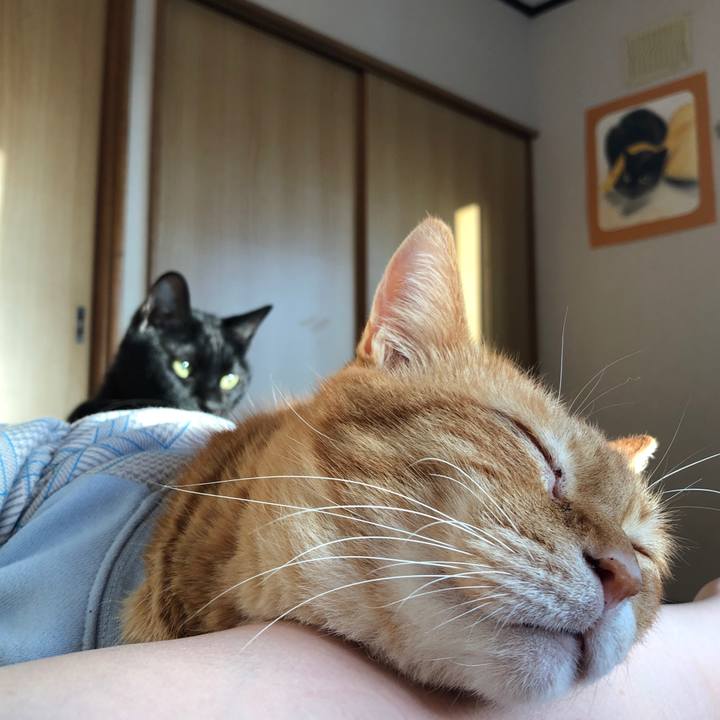 00655fd4 cf3b 4de1 b77f a25f95267247 1681763836654