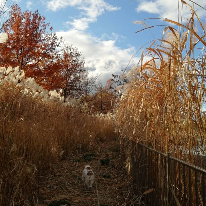 0065dea5 8ab4 47b0 a9bb 08027e644f01 1608378161679