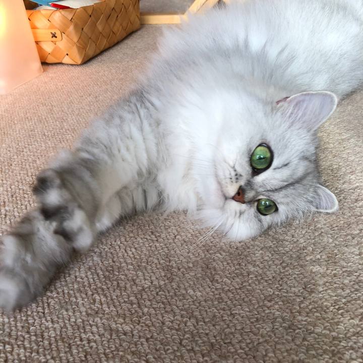 0066317b fab0 4ccf b9ec 16614eb4e383 1539078044559