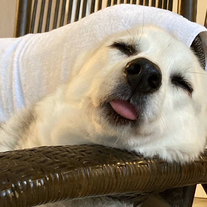 0066473c 56c5 4925 aee9 cbef403ed7f4 1667274234839