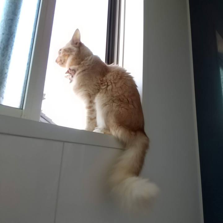 00665b91 57cf 4d76 8b66 39e1bb5d23a4 1735444706045