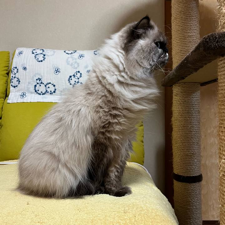 00668c0d 89c0 4036 9efa 880462a7537d 1671451496902