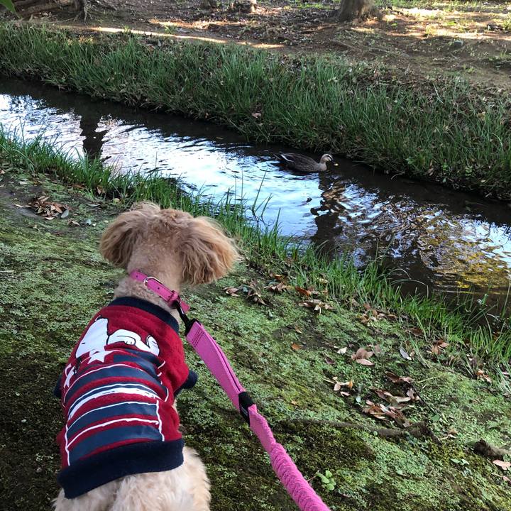 00669853 4cc8 4fc5 a13c 7928356e65a6 1635556875407