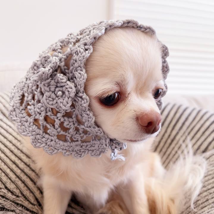 0066ad82 425d 4cc7 aaba d651a49b4f58 1750347568546