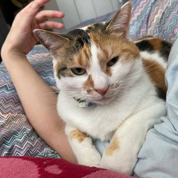 0066c0fa c78a 4e35 8bd3 109e00445ff9 1714868992611