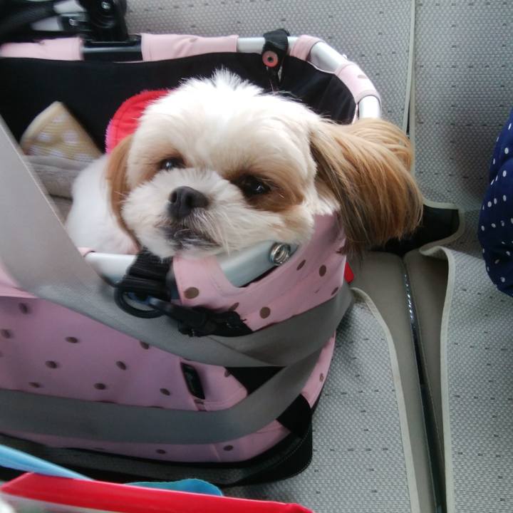 00671985 d3b3 49ea 808e cfb54e67ef22 1515200502165