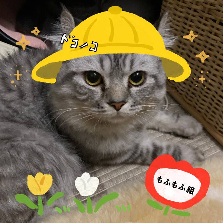 00674a5d c8cb 436a 9ea8 e0dcc09b6180 1712609133960