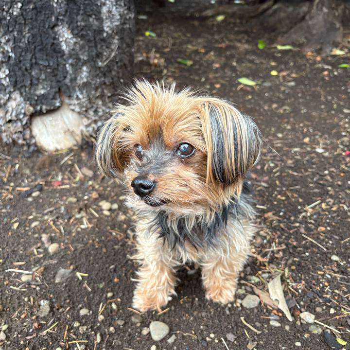 006759b2 b906 41ca 82a1 21241d9cf222 1752236458442