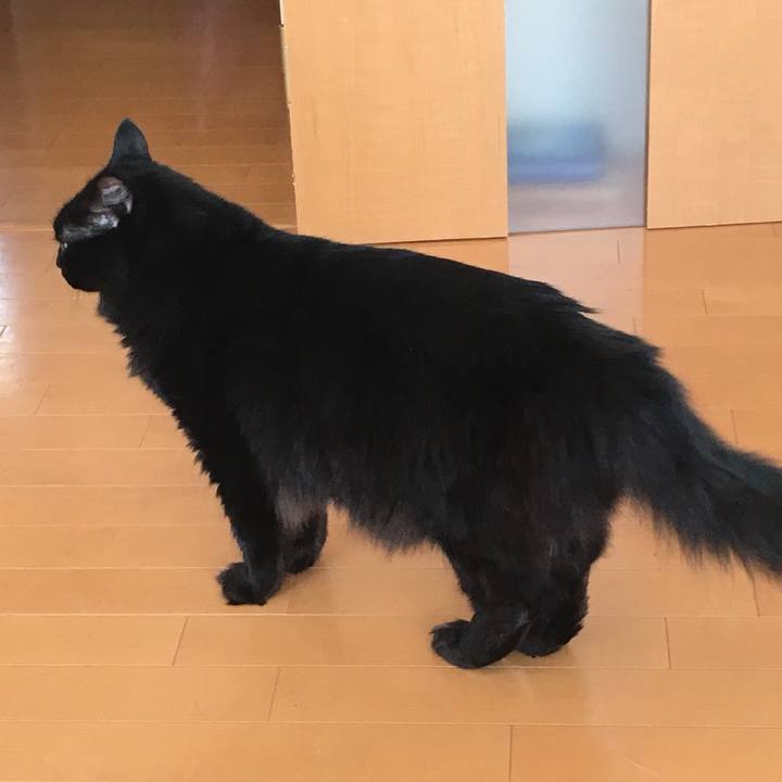 00679135 3738 4d15 9d5c 0bbffa595c1e 1532414924267