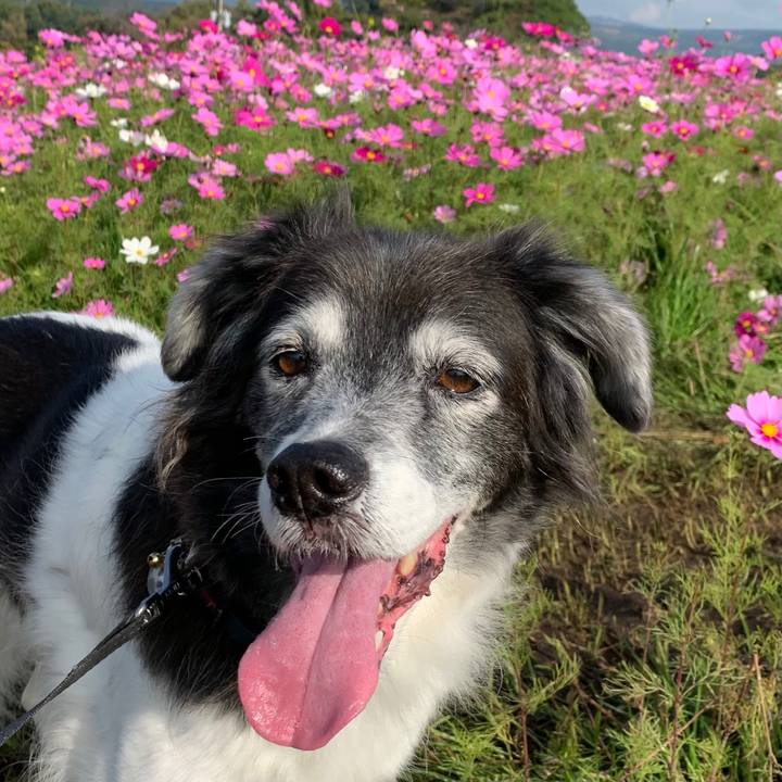 00679d80 6233 45df b26d d68bb8e94cd9 1606298704684