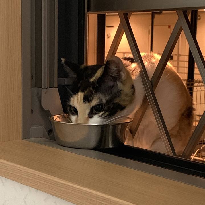 0067b2bd 165e 46c7 b3be 8546281c1880 1557704791082