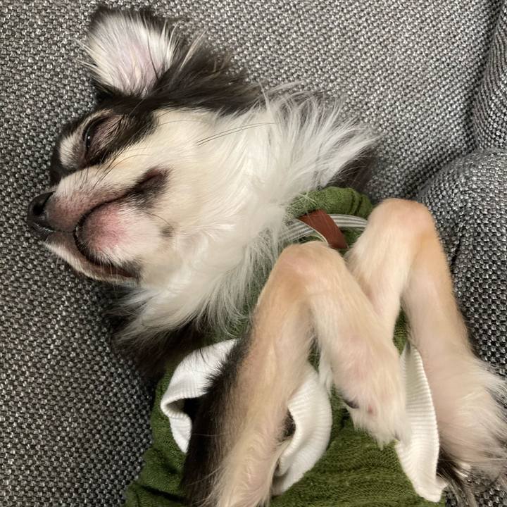 0067bd4d d56a 4a51 9b8f 954b12697bbf 1609768124547