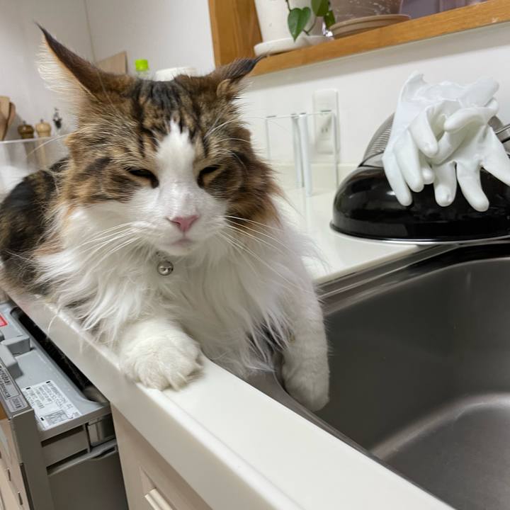 0067dfec 16be 42dc aaa7 af6133e295f4 1651177110583