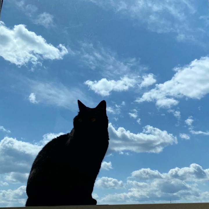 0067e5a1 8d2c 45d7 a846 9707546a5900 1744171629315