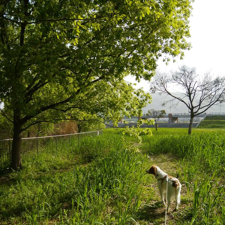 00680ff7 e424 4779 854a 61ca4d618e26 1523838020246