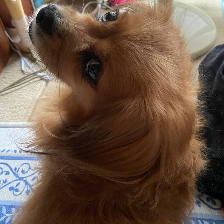 00685374 a1af 483d bb10 60bf20f1e1f4 1631826858448