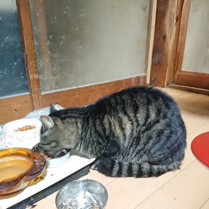 00686e88 ecf6 4655 a800 90d9f5cef86d 1636373314123