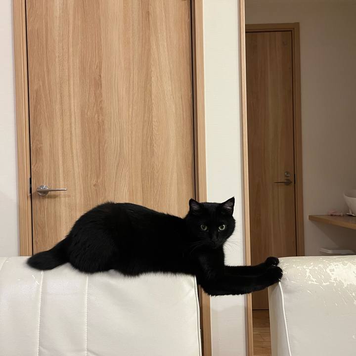 00689e54 6022 4d40 91b9 59b485c985bc 1655941362438