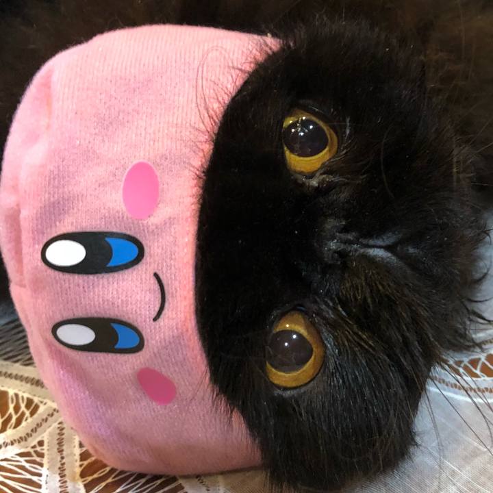 0068a101 5d1e 4c21 8652 76c3674ff1e2 1536966355550